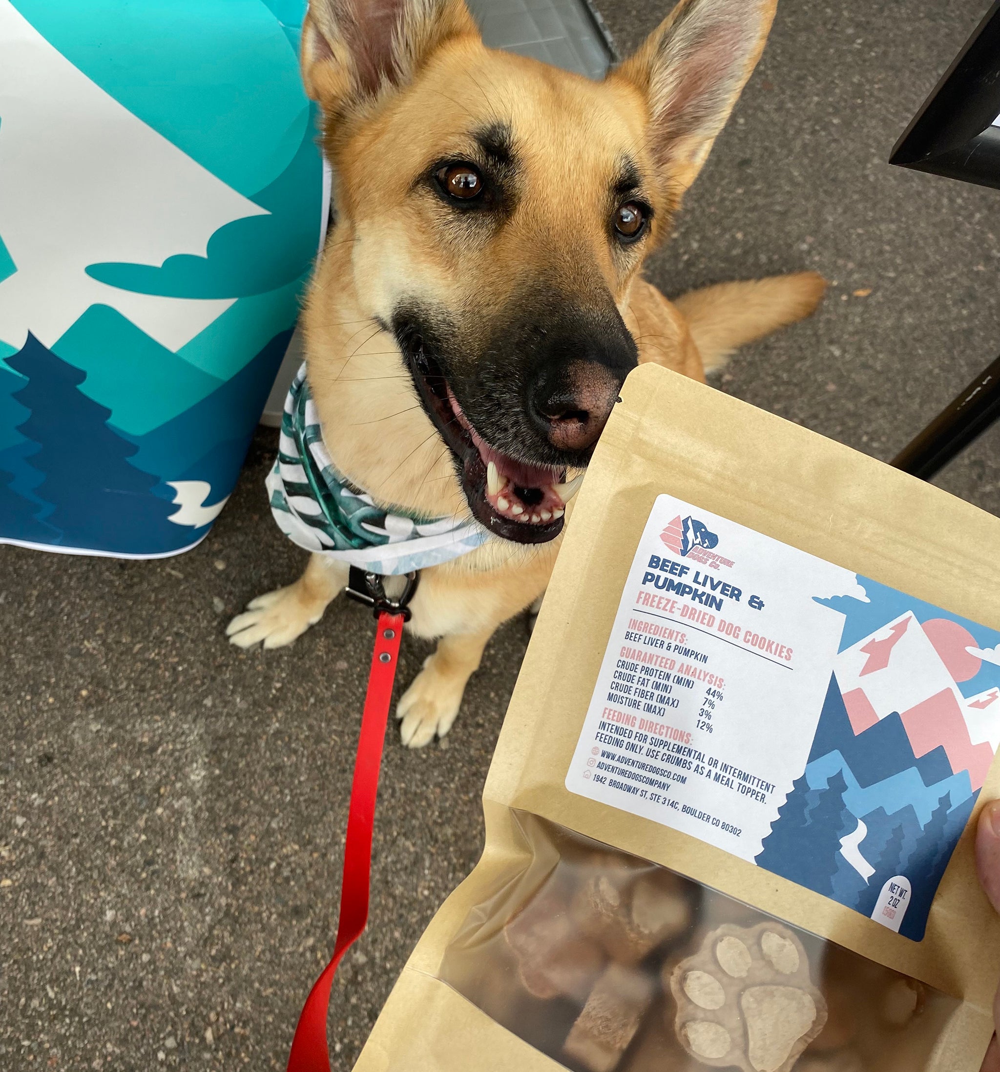 Beef Liver & Pumpkin Freeze Dried Treats